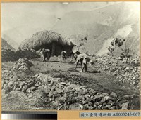 藏品(旱田耕作之泰雅族人)的圖片